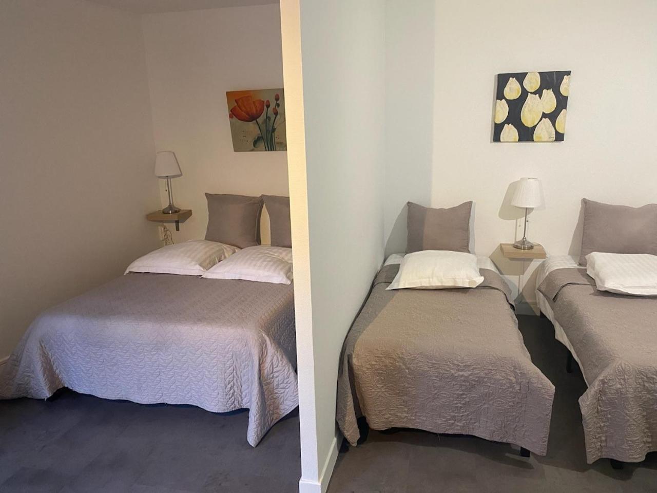 Appart'Hotel Les Palatines Saint-Etienne  Luaran gambar